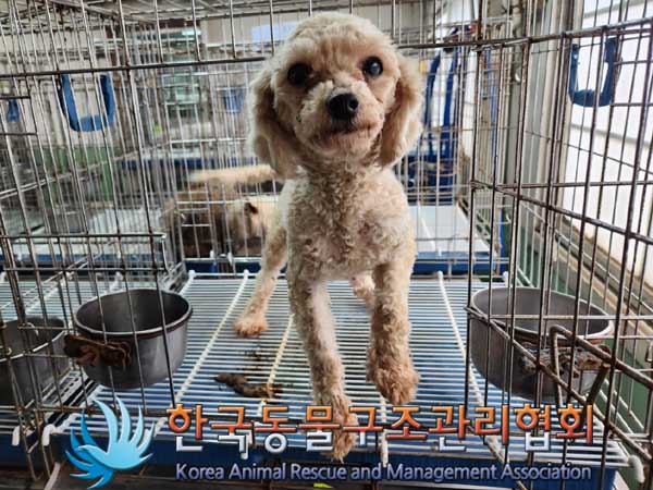 한국동물구조관리협회_441406202300288